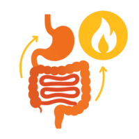 Обмін речовин